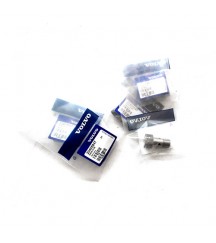 Hollow screw 20405562